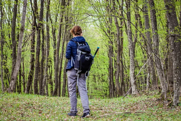 Woman Trekking Alone Green Forest — Stock Photo, Image