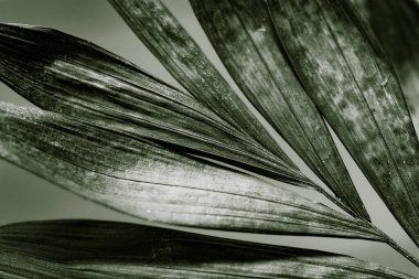 Sarı arkaplanda soyut yeşil yapraklar