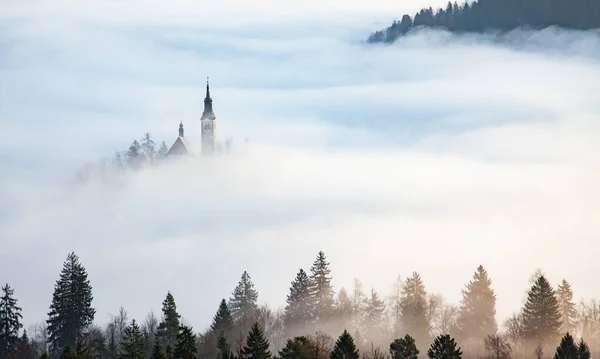 Stupendo Panorama Del Lago Bled Blejsko Jezero Una Mattinata Nebbiosa — Foto Stock