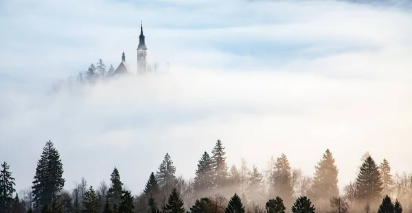 Stupendo Panorama Del Lago Bled Blejsko Jezero Una Mattinata Nebbiosa — Foto Stock