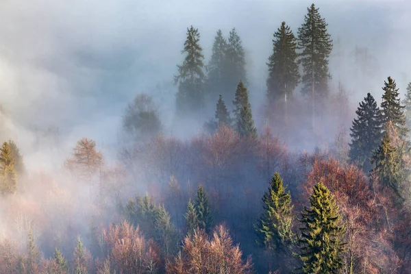 山の上の素晴らしい霧の日の出のパノラマ — ストック写真