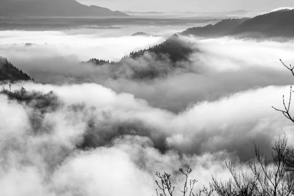 Panorama Amazing Foggy Sunrise Mountains — Stock Photo, Image