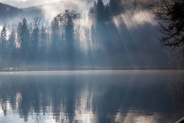 Spandoek Van Zonnestralen Die Door Bomen Komen Bij Een Meer — Stockfoto