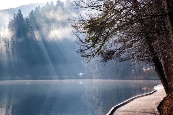 湖のそばの木から差し込む太陽光線の旗 — ストック写真