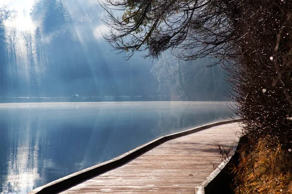 湖のそばの木から差し込む太陽光線の旗 — ストック写真
