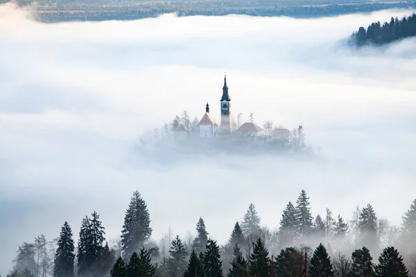 Stupendo Panorama Del Lago Bled Blejsko Jezero Una Mattinata Nebbiosa — Foto Stock