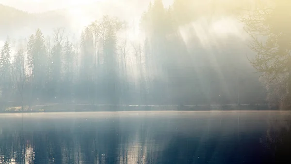 Bannière Rayons Soleil Venant Travers Les Arbres Près Lac — Photo