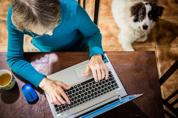 Femme Âgée Utilisant Ordinateur Portable Dans Son Chien Cuisine Dormir — Photo