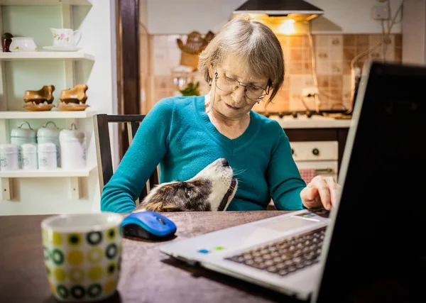Äldre Kvinna Som Använder Laptop Sitt Kök — Stockfoto