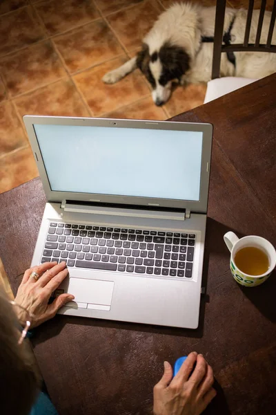 Äldre Kvinna Som Använder Laptop Hund Sova — Stockfoto