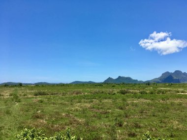 Yerel çayır manzarası, daha fazla ağaç ve mavi gökyüzü olan tepe.
