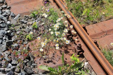 Detay eski bir demiryolu hattı trenle birkaç milyon ton taşınmaktadır