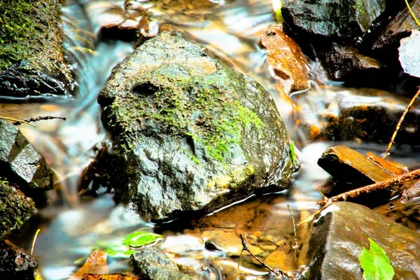 Piedra Para Composición Imagen Composición Colágeno Cara Río — Foto de Stock