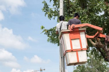 Elektrikçi yan hakem onarma