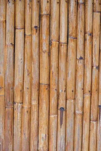 stock image The surface and texture of the bamboo stem