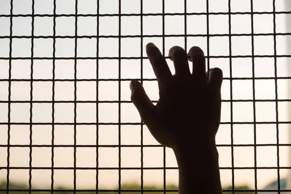 Prisoner\'s hand