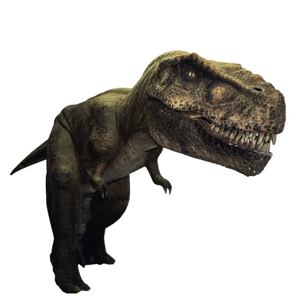 Tyrannosaurus dinoszauruszok játék elszigetelt fehér background CL — Stock Fotó