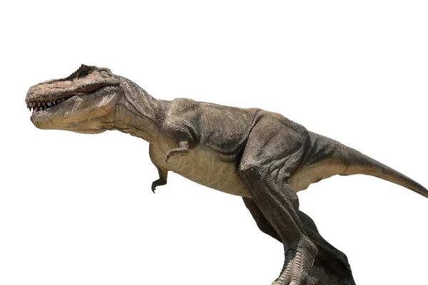 Cl beyaz zemin üzerine izole tyrannosaurus dinozorlar oyuncak — Stok fotoğraf