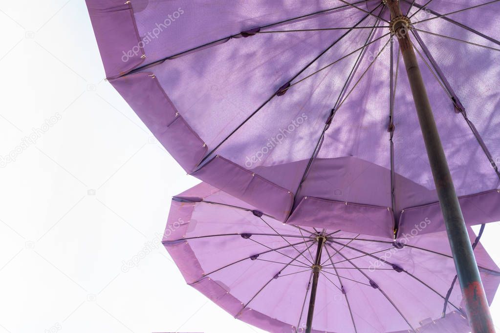 double purple big umbella on white background