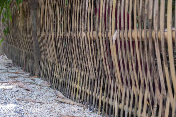 Uma parede de bambu — Fotografia de Stock