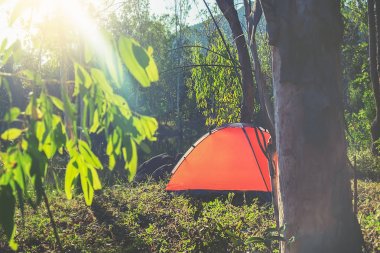 Bir ormanda kamp. Gölün yeşil orman çadırda turist ile sabah sahne. Açık Lifestyle.selective odak.