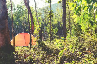 Bir ormanda kamp. Gölün yeşil orman çadırda turist ile sabah sahne. Açık Lifestyle.selective odak.