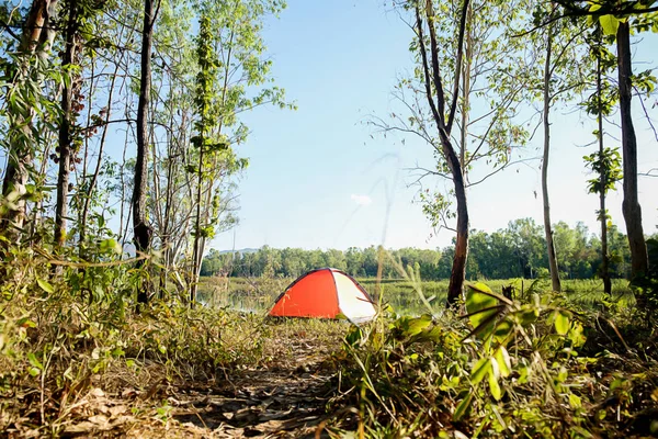 Bir ormanda kamp. Gölün yeşil orman çadırda turist ile sabah sahne. Açık Lifestyle.selective odak.