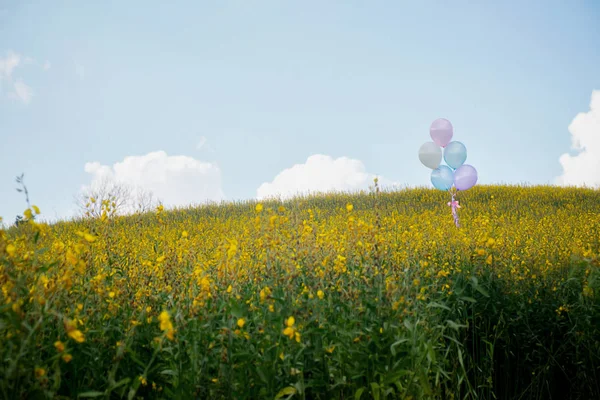 Globos hechos en el concepto de jardín de flores amarillas del amor en verano. Efecto filtro retro, enfoque selectivo — Foto de Stock