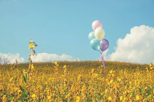 Balloons done on the yellow flower garden concept of love in summer. Retro filter effect, selective focus — Stock Photo, Image
