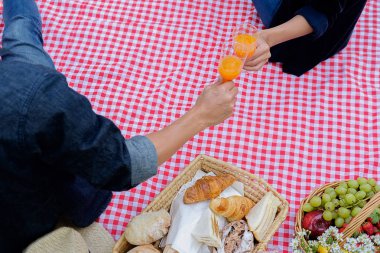 Piknik kavramı. Mutlu genç Asyalı arkadaşlar yediğine süre eğleniyor