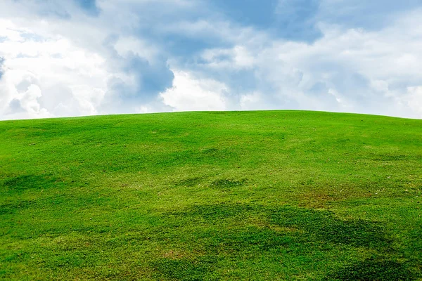 Summer mountains green grass and blue sky landscape — Stock Photo, Image