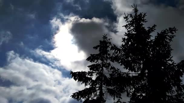 Molnen flyger snabbt i himlen. Stark vind. På vänster sida är två julgranar. — Stockvideo