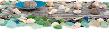 Deniz kabukları eski ahşap arka plan üzerinde kümesi