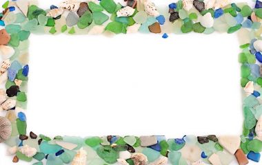 Deniz kabukları eski ahşap arka plan üzerinde kümesi