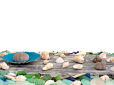 Deniz kabukları eski ahşap arka plan üzerinde kümesi