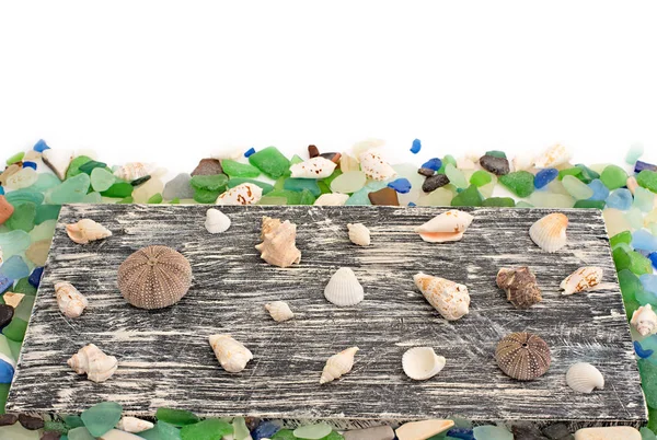 Conjunto de conchas marinas sobre fondo de madera viejo — Foto de Stock