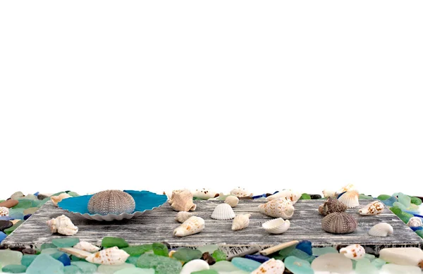 Conjunto de conchas marinas sobre fondo de madera viejo — Foto de Stock