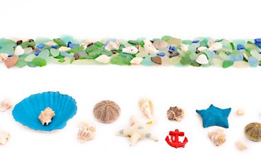 Deniz kabukları eski ahşap arka plan üzerinde kümesi