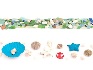 Deniz kabukları eski ahşap arka plan üzerinde kümesi