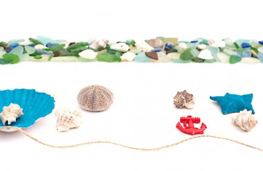 Deniz kabukları eski ahşap arka plan üzerinde kümesi