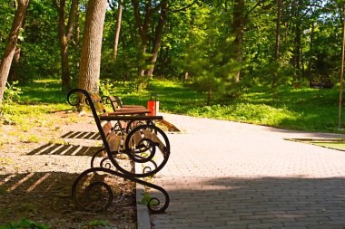 gün batımında Park bankında