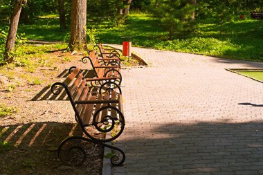 gün batımında Park bankında