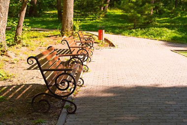 gün batımında Park bankında