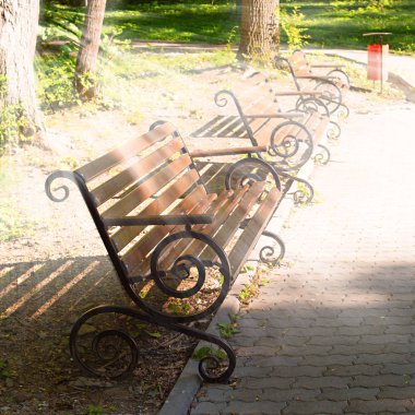 gün batımında Park bankında