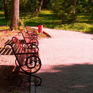 gün batımında Park bankında