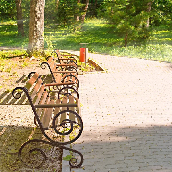 gün batımında Park bankında