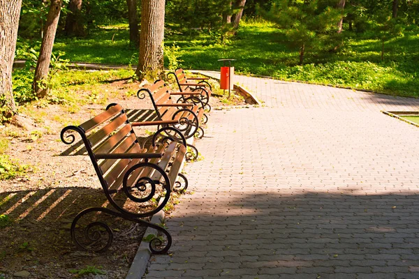 gün batımında Park bankında