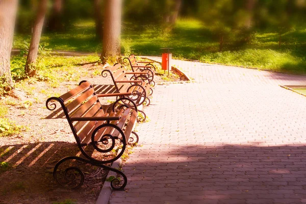 gün batımında Park bankında