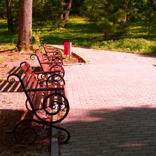 gün batımında Park bankında