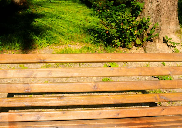 Park bench at sunset — Stock Photo, Image